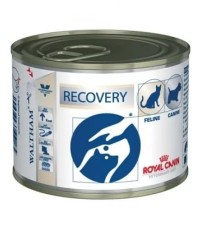 Royal Canin Recovery ветеринарная диета консервы для кошек и собак 195 гр. 